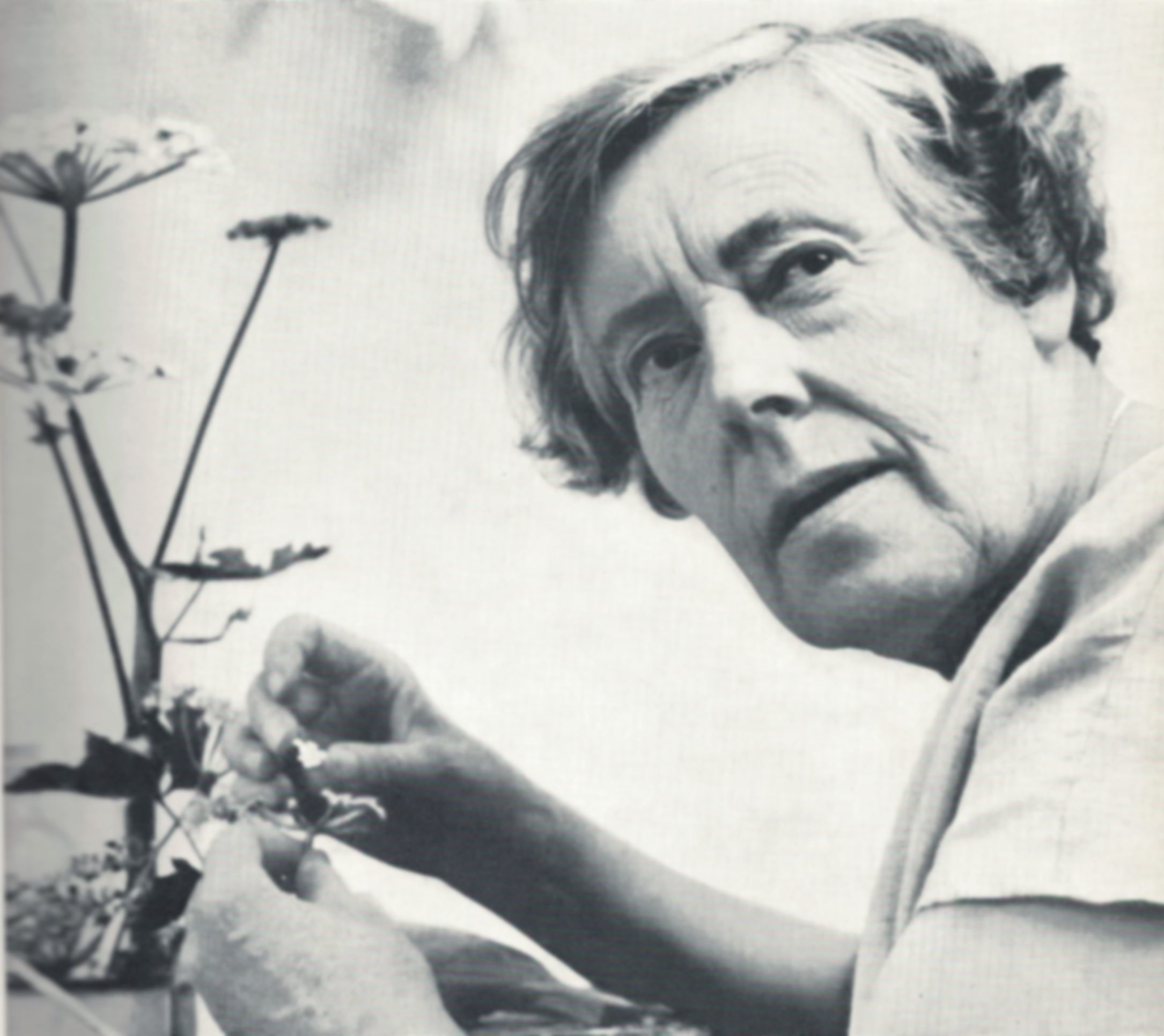 Dorothy Doughty. Eighty craftsmen were sometimes needed to produce her bird models